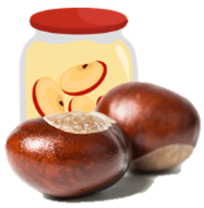 Compote Biologique Pomme-Châtaigne|Bib 4kg