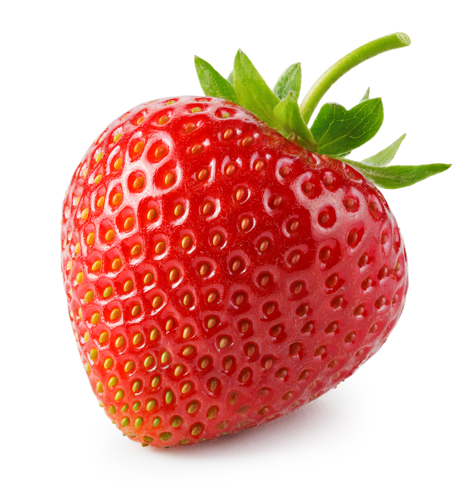 Préparation Biologique Fraise|Bib 5 kg