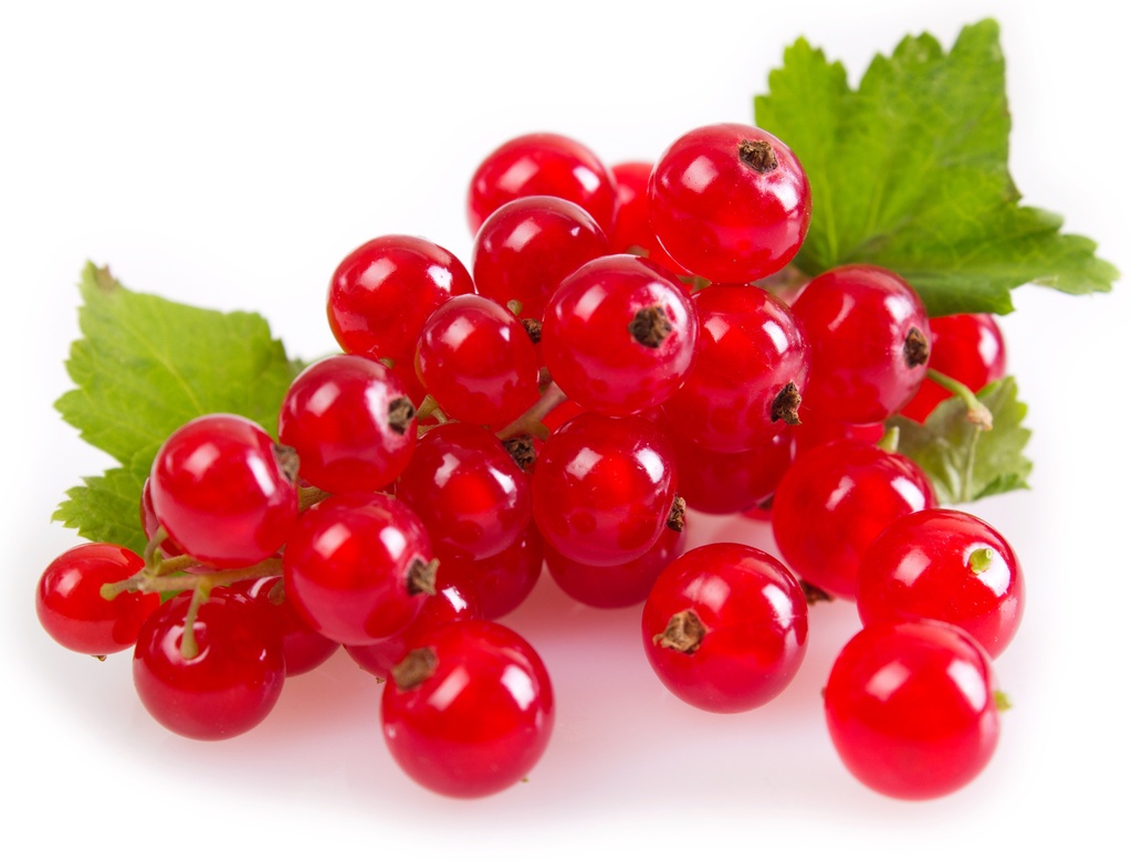 Confiture Vrac Biologique Groseille|Bib 5 kg