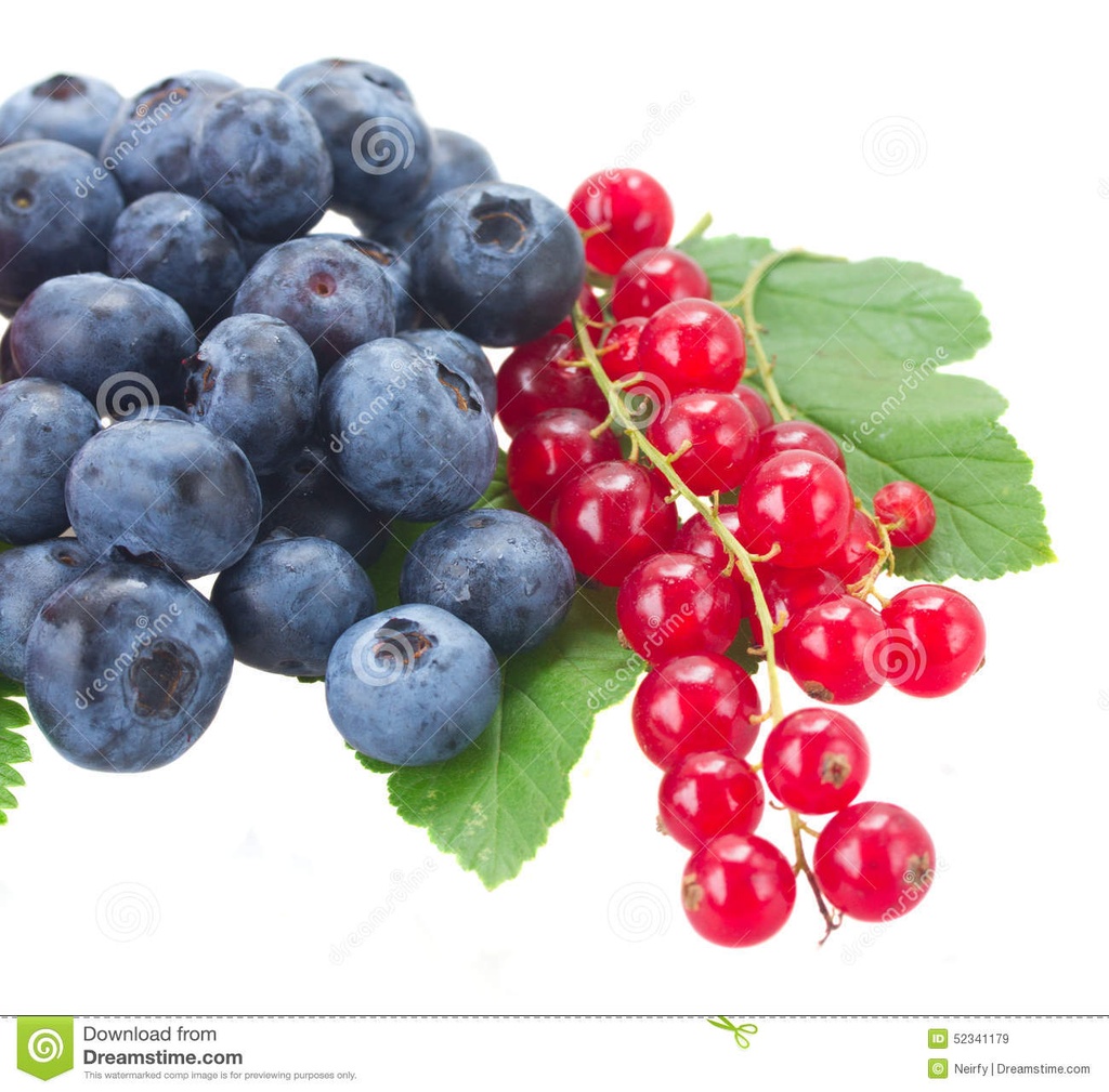 Confiture Vrac Biologique Myrtille sauvage -Groseille | Bib 5 kg.