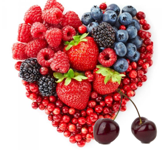 [PY5FR] Préparation Biologique 5 fruits rouges|Bib 5 kg