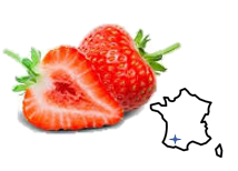 [PYFRAISE-FR] Préparation Biologique Fraise Française|Bib 5kg