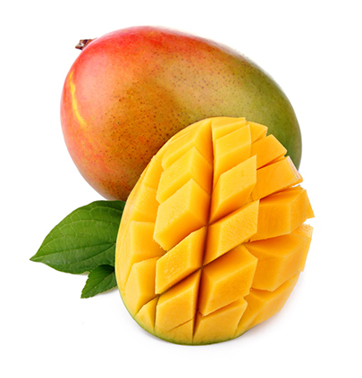 [PYMANGUE] Préparation Biologique Mangue|Bib 5 kg