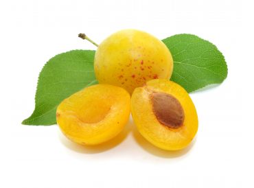 [PYMIRABELLE] Préparation Biologique Mirabelle (origine Lorraine)|Bib 5 kg