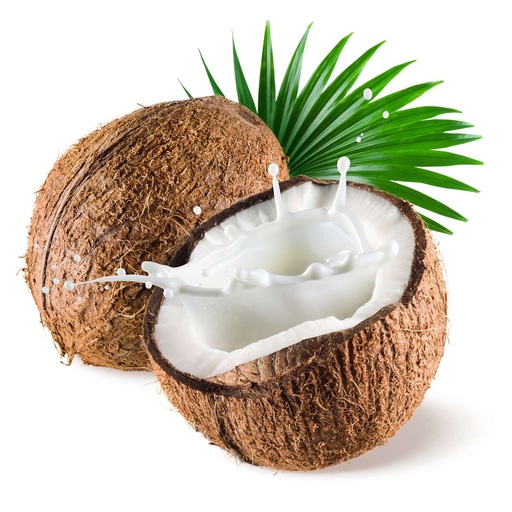 [PYCOCO] Préparation Biologique Noix de Coco|Bib 5 kg