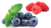 [VRFRAMBOISEMYRTILLE] Confiture Vrac Biologique Framboise-Myrtille sauvage|Bib 5 kg