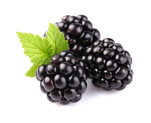 [VRMURE] Confiture Vrac Biologique Mûre sauvage|Bib 5 kg