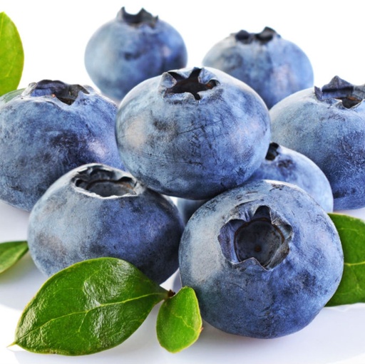 [VRMYRTILLE] Confiture Vrac Biologique Myrtille sauvage |Bib 5kg