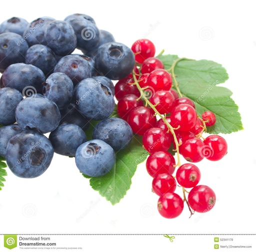 [VRMYRTILLEGROSEILLE] Confiture Vrac Biologique Myrtille sauvage -Groseille | Bib 5 kg.