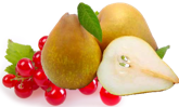 [VRPOIREGROSEILLE] Confiture Vrac Biologique Poire-Groseille|Bib 5 kg