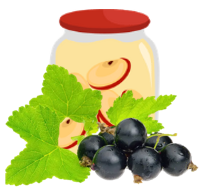 [COPOMMECASSIS] Compote Biologique Pomme-Cassis|Bib 4kg