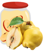 [COPOMMECOING] Compote sans sucre ajouté Biologique Pomme-Coing|Bib 4kg